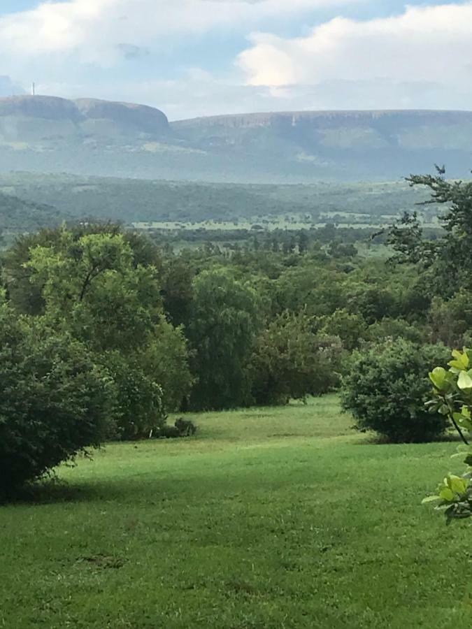 Olive Tree Farm Bed & Breakfast Magaliesburg Luaran gambar