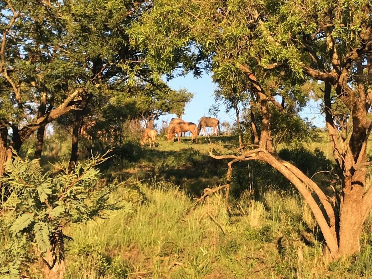 Olive Tree Farm Bed & Breakfast Magaliesburg Luaran gambar