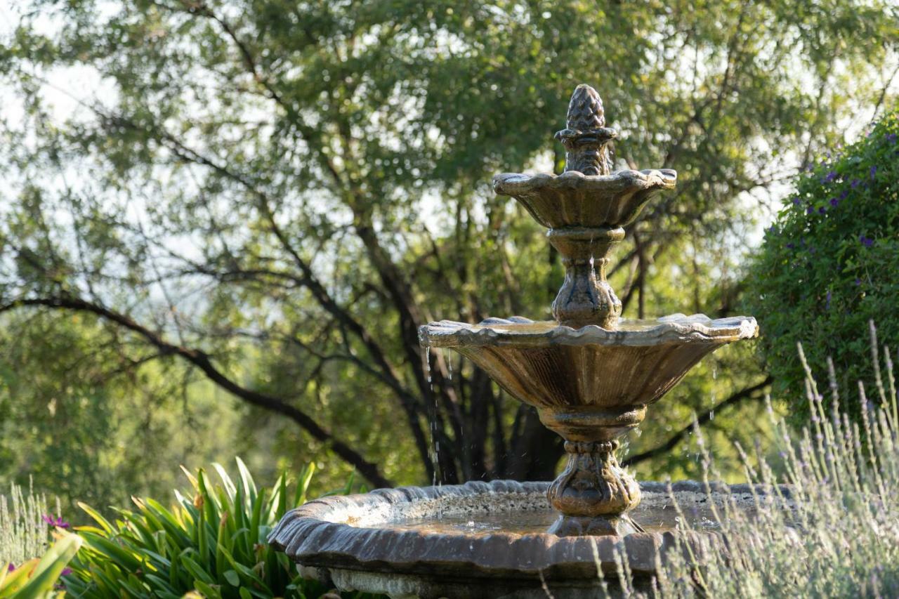 Olive Tree Farm Bed & Breakfast Magaliesburg Luaran gambar
