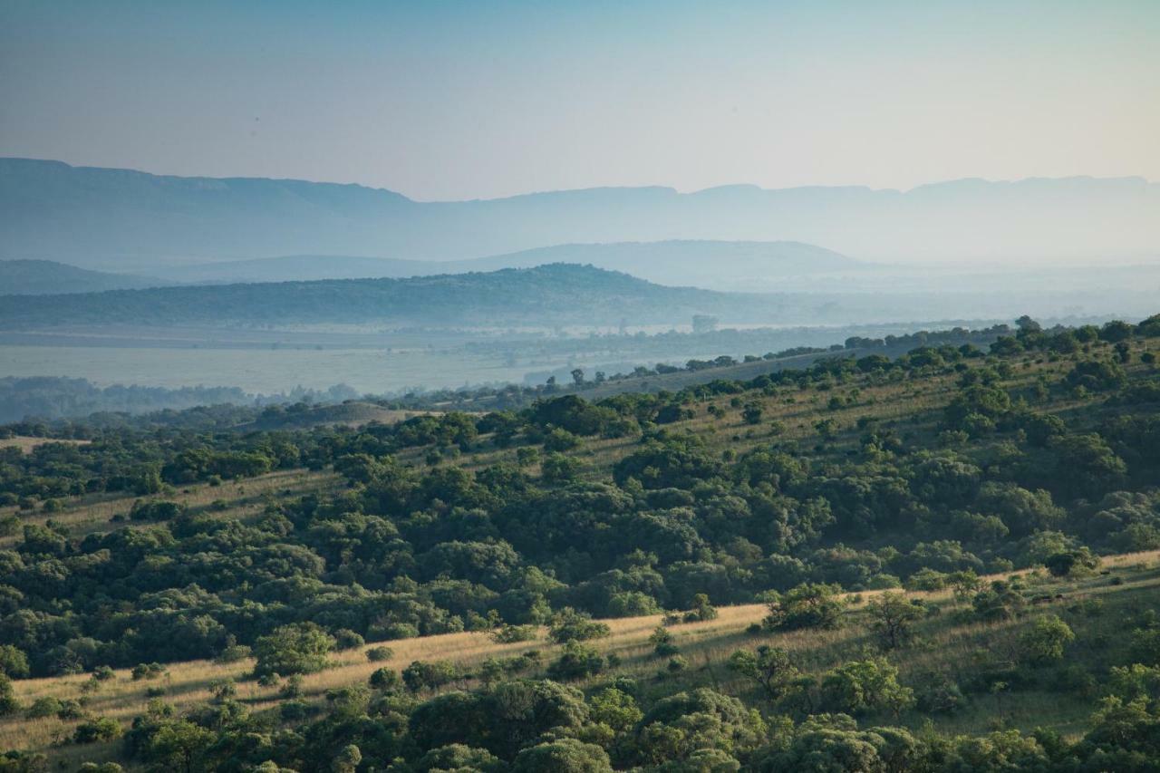 Olive Tree Farm Bed & Breakfast Magaliesburg Luaran gambar