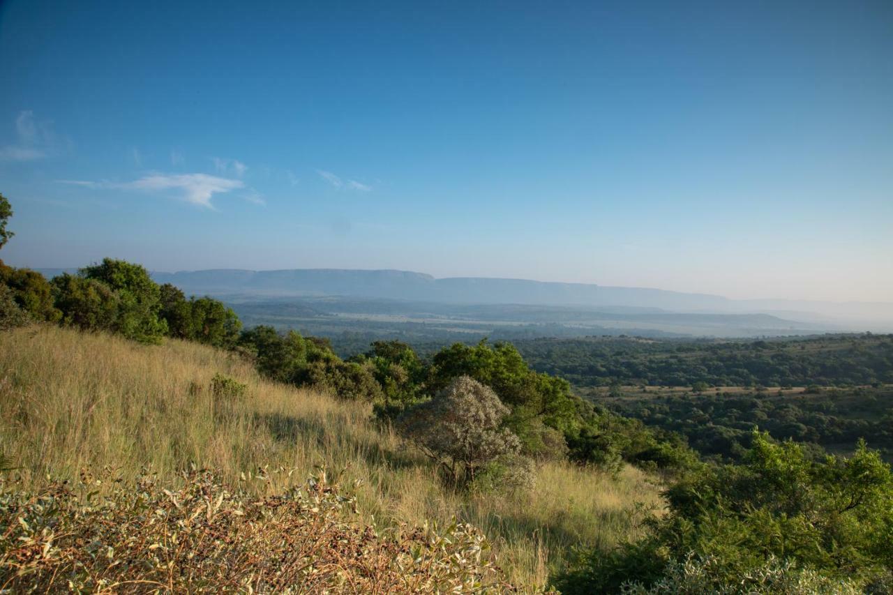 Olive Tree Farm Bed & Breakfast Magaliesburg Luaran gambar