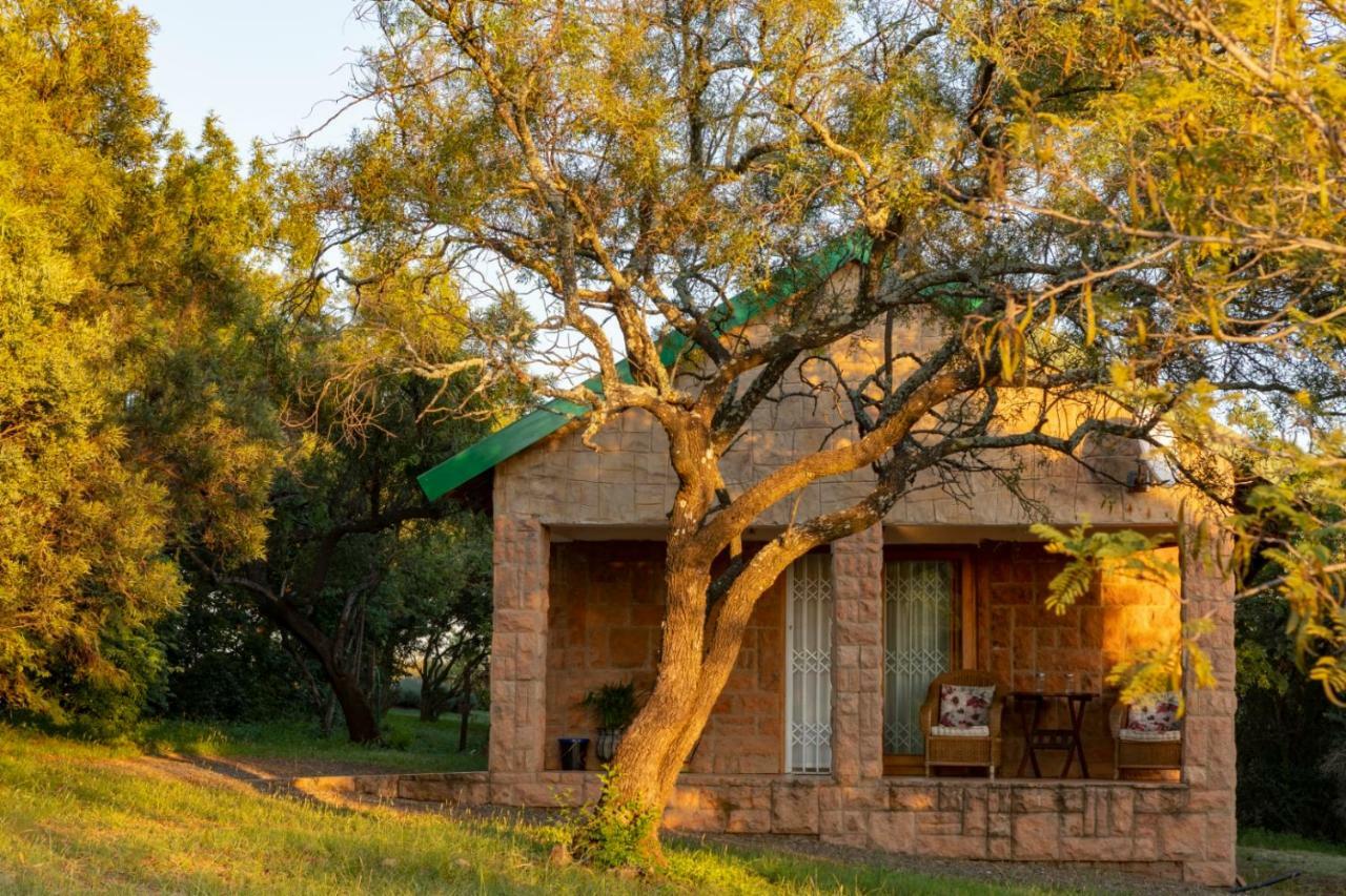 Olive Tree Farm Bed & Breakfast Magaliesburg Luaran gambar