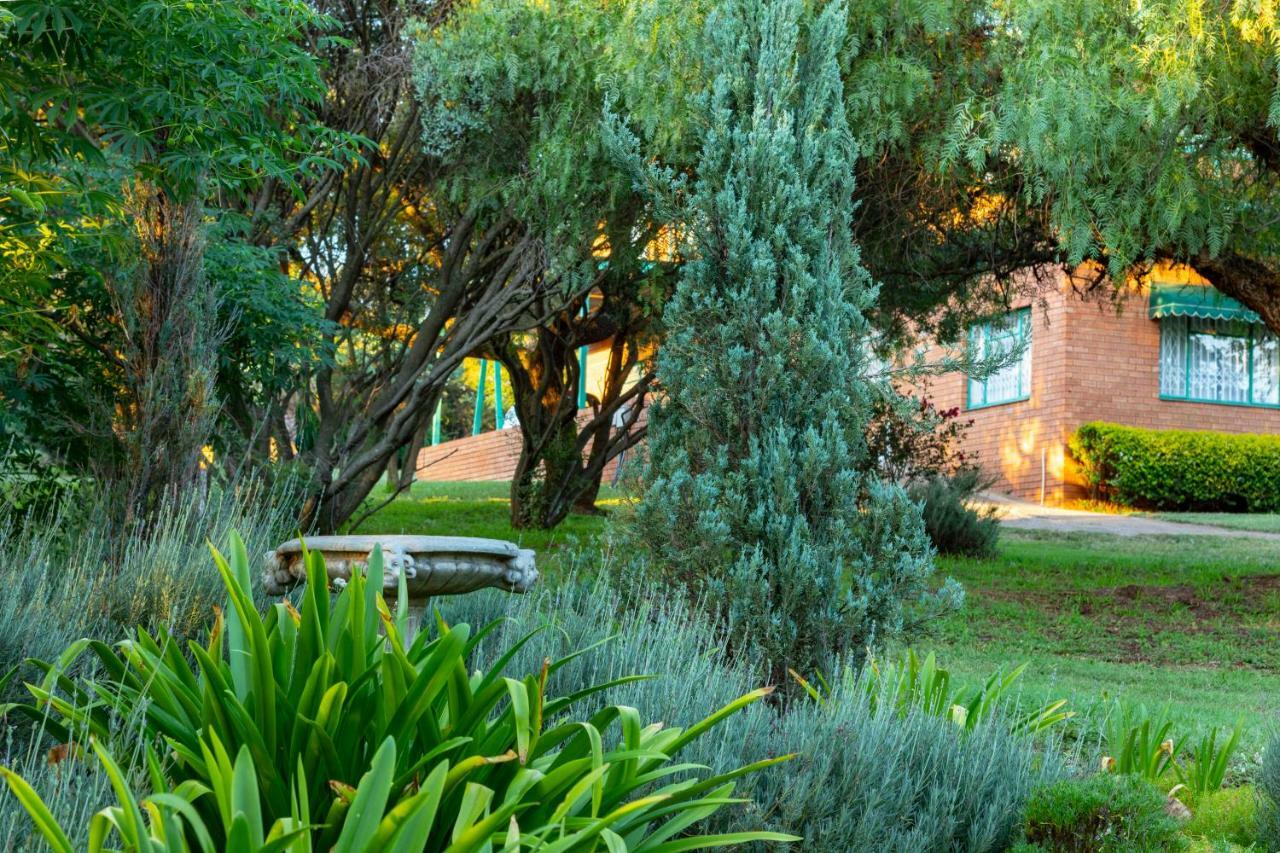 Olive Tree Farm Bed & Breakfast Magaliesburg Luaran gambar